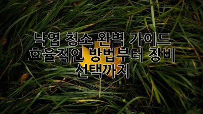 🍂 낙엽 청소 완벽 가이드: 효율적인 방법부터 장비 선택까지! 🧹